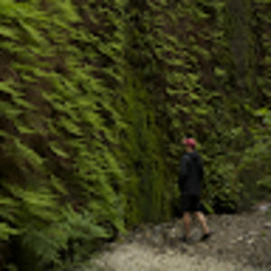 Meet your Posher, Brendan